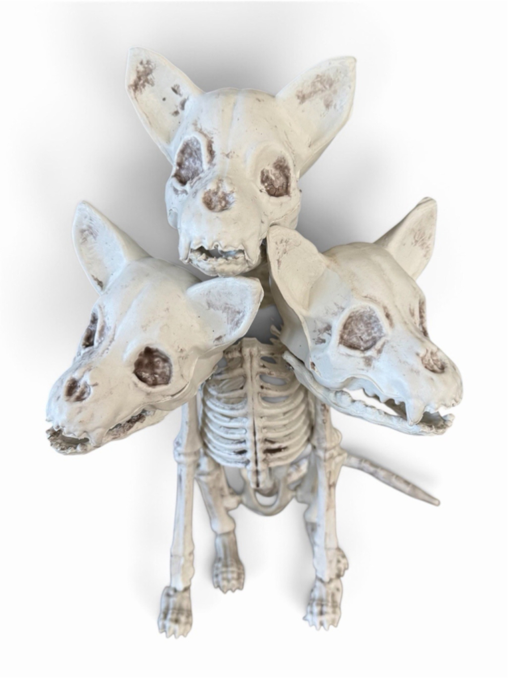3 HEADED SKELETON ZOMBIE DOGS CERBERUS CHIHUAHUA HALLOWEEN EDUCATIONAL PROP